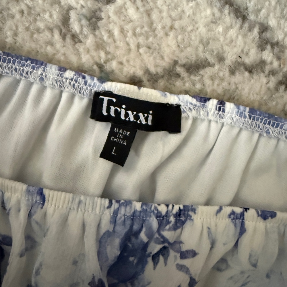 Francescas Wenona Blue and White Chiffon Dress - Picture 4 of 4